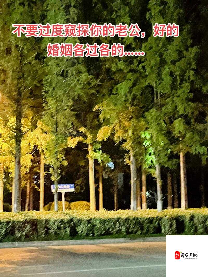 熟女人妻の私密视频：窥探婚姻背后的欲望与情感