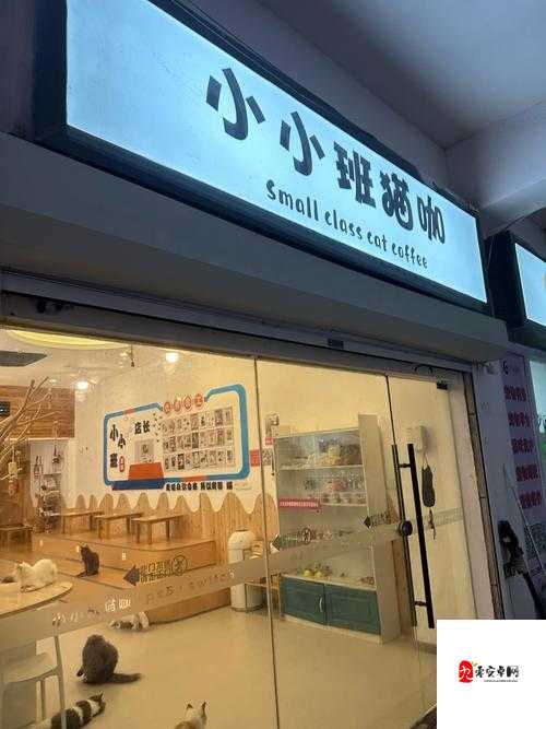 家有小院，宠物培育全攻略，打造温馨宠物乐园