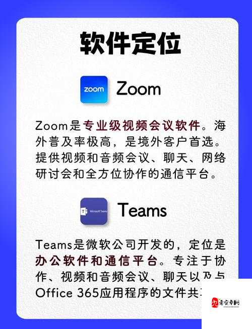 探秘 ZOOM 与牛性胶 ZOOM：它们背后的秘密与独特之处详析