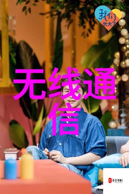 VIDEOCODEC WMVIDEODECODER 揭秘：深入探究其奥秘