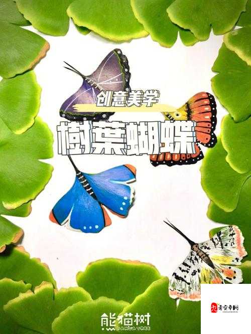 创意美涂好玩吗？创意美涂玩法介绍在资源管理中的重要性