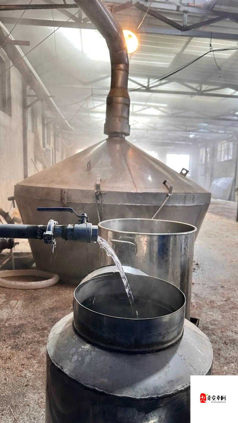 幸福酒厂，酿造快乐与财富的梦幻之旅