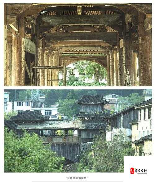 山村老妇的惊人秘密：山边性对白背后的真相