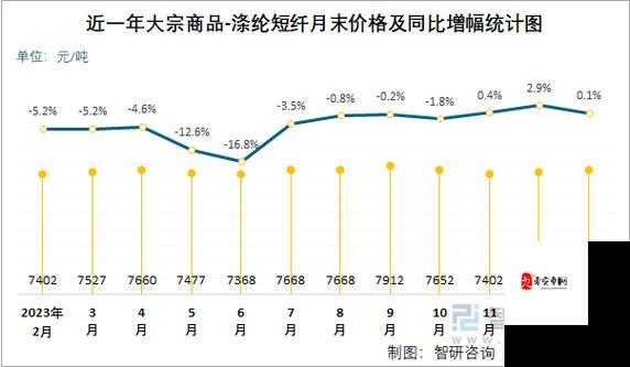 XXXXXL19D18 价格表 2024：关于该价格表的详细解读与分析