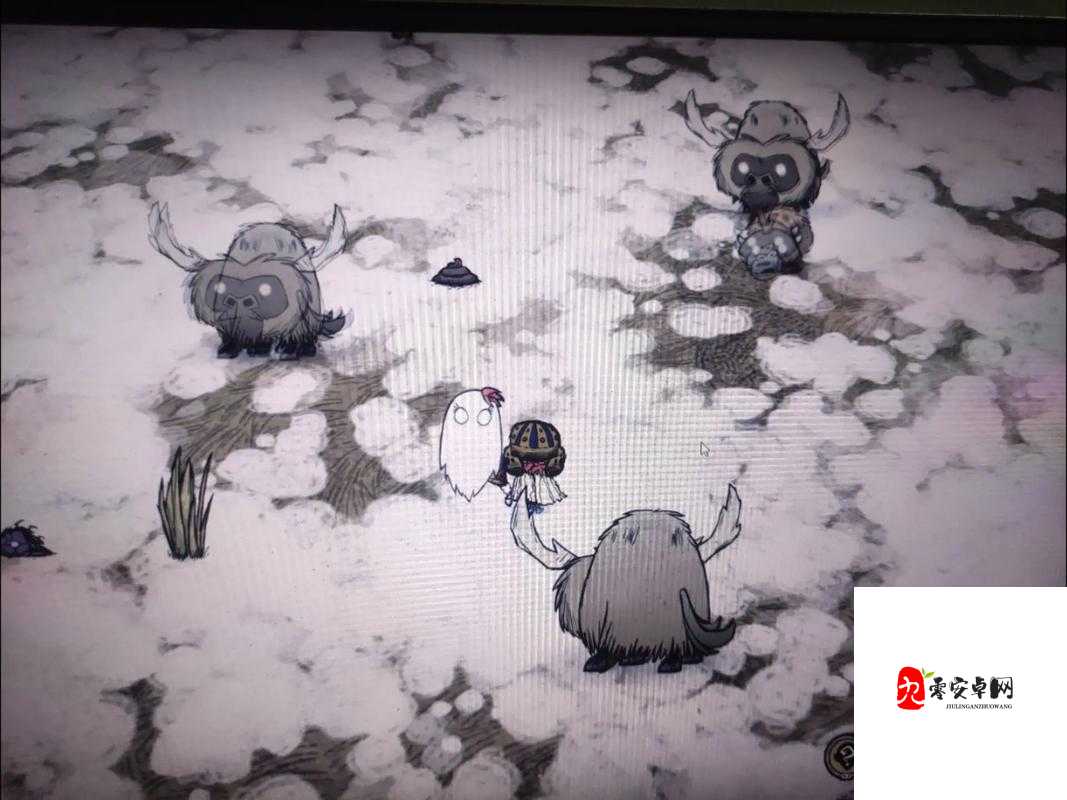 饥荒联机版海象打法攻略详解