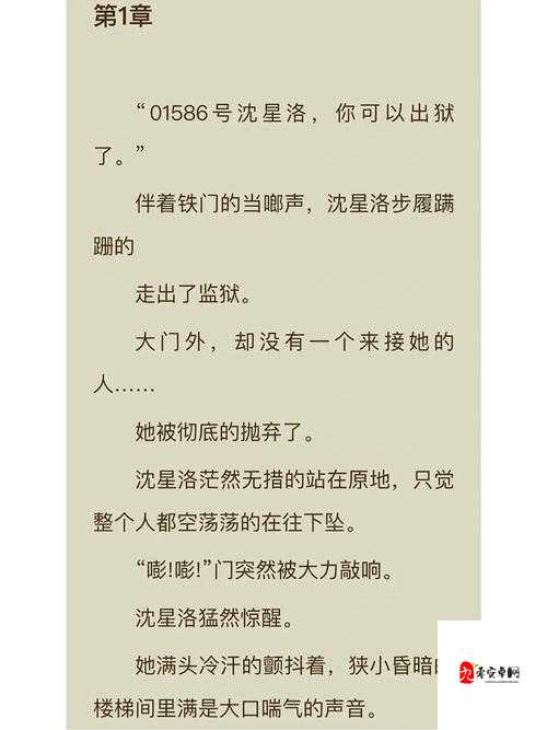 9 个野蛮的装修工小说免费阅读：精彩故事等你开启