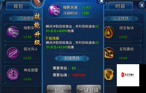 揭秘！我的门派元婴速成秘籍，修炼进度飞速提升之道