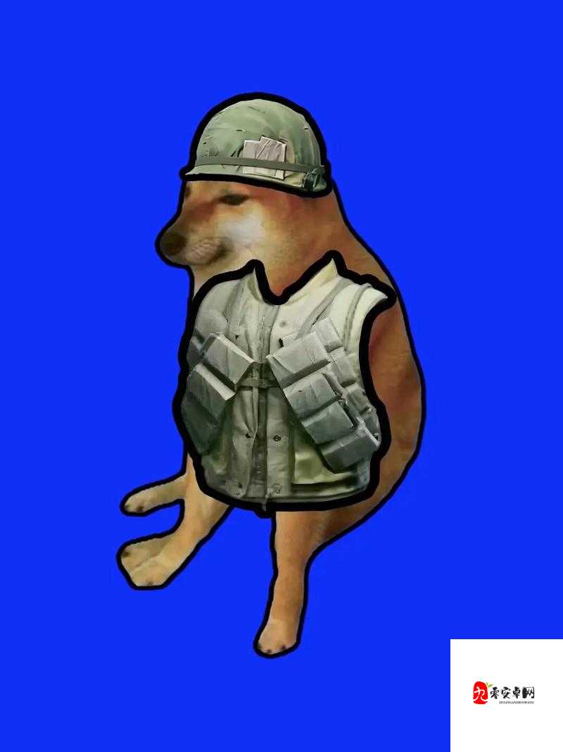 暗区突围，解锁你的生存补给站，饮料篇