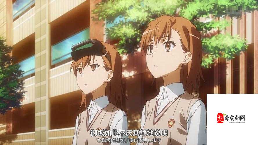 双生视界，探索御坂妹妹的萌动世界