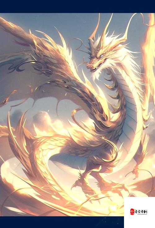 龙刃之翼，解锁帅气与力量的双重奥秘