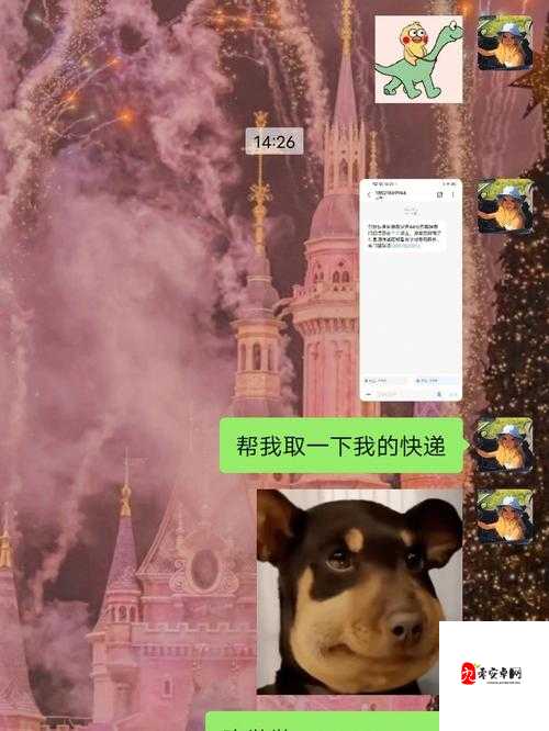 从现在开始，请叫我暴躁姐