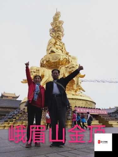 1982 年肉莲花：一段承载岁月记忆的独特文化之旅