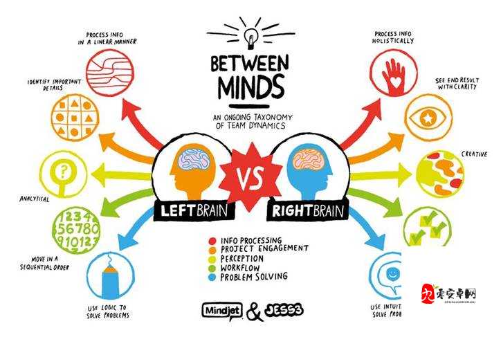 幻界传说伙伴系统怎么玩，深度解析与高效管理策略