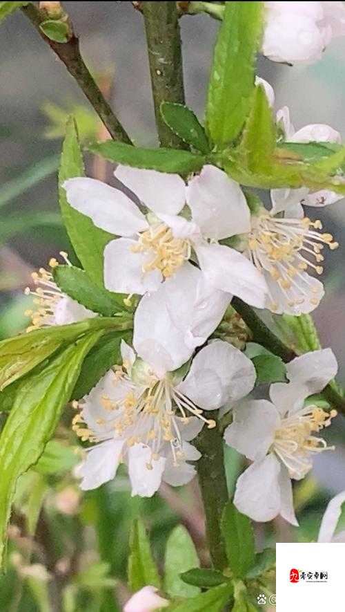 室外春雨绵绵，室内欢声笑语依旧：共享美好时光