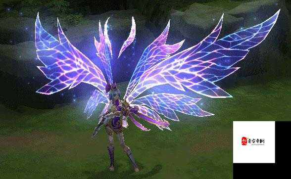 美人传翅膀升级全解析，资源管理、高效技巧与最大化价值