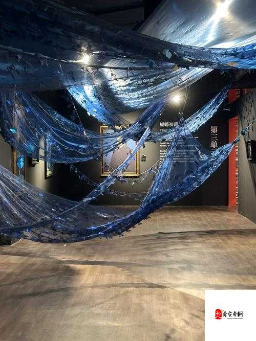 国偷自愉自产产区第 91 区：探索未知的神秘世界