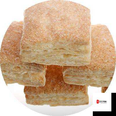 萧氏四兄弟美酥肉饼 96：传统美食的创新与美味的完美结合