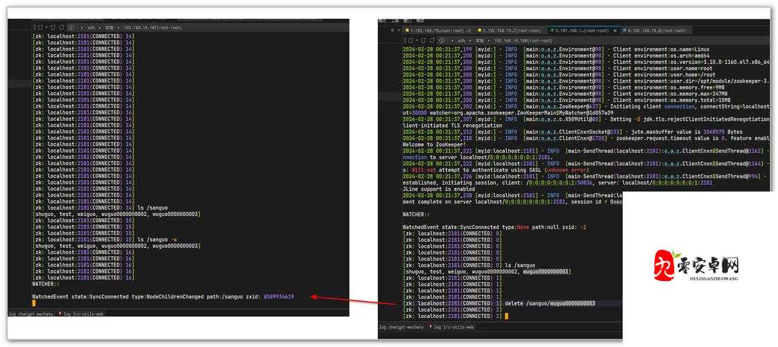 Zoom 美国 Zookeeper 打得开了吗？Zoom 美国 Zookeeper 访问指南