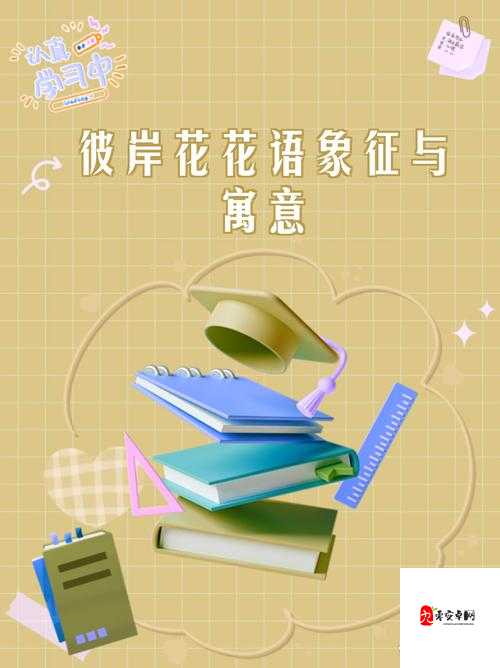 XXXXXLMEDJYFBD ：探索其背后的神秘意义与价值所在