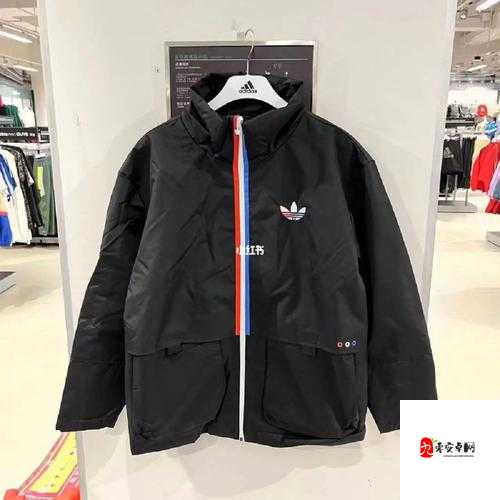 三叶草 M 码与欧洲码详细区别解析：差异一目了然