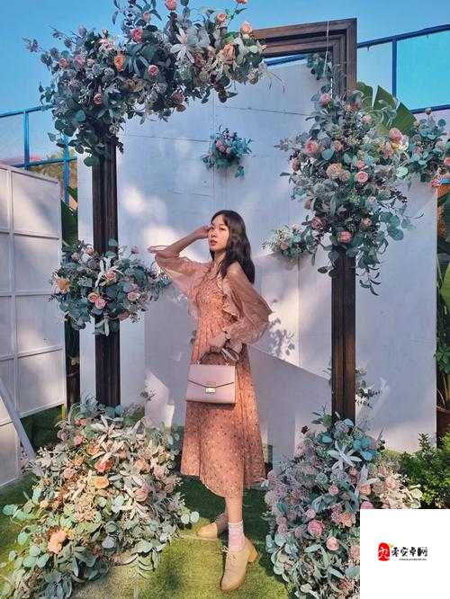 解锁秘密花园 BASEAPK 安装包的秘密-探寻其背后的深层奥秘与关键所在