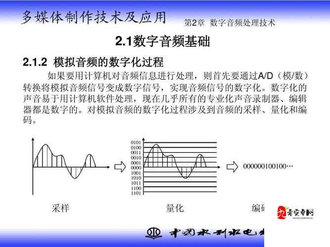 java video audio encode 技术在多媒体处理中的应用