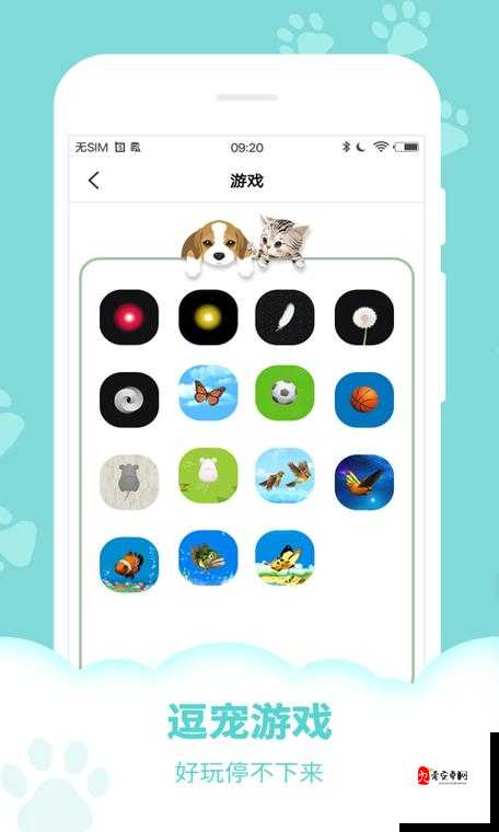 糖心柚子猫圣诞节礼物：一份特别的惊喜