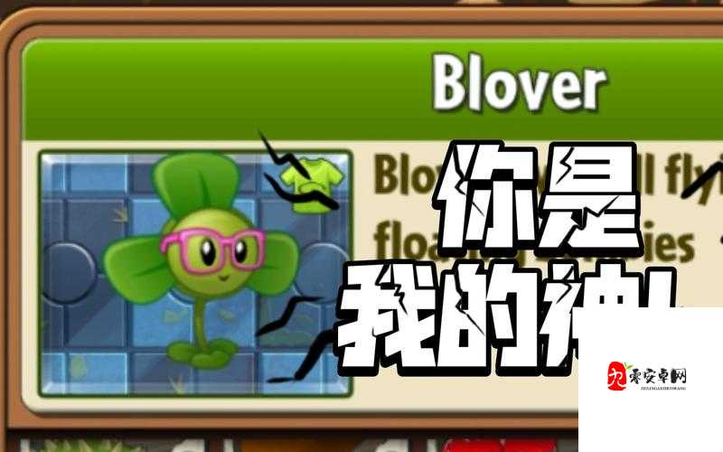 成品站w灬源码三叶草：探索优质源码的奇妙世界