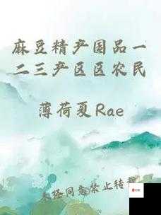 麻豆产国品一二三产品区别：深度剖析其各自特点与差异