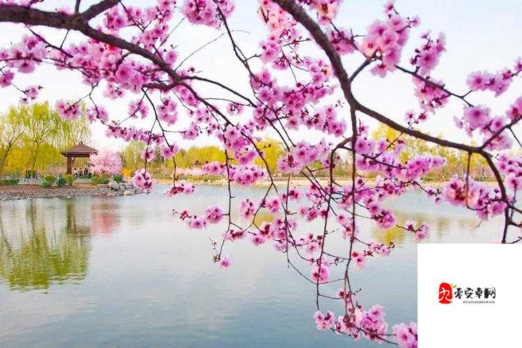 含苞欲放的桃花那是春天的嘴唇吧：描绘春之浪漫画卷