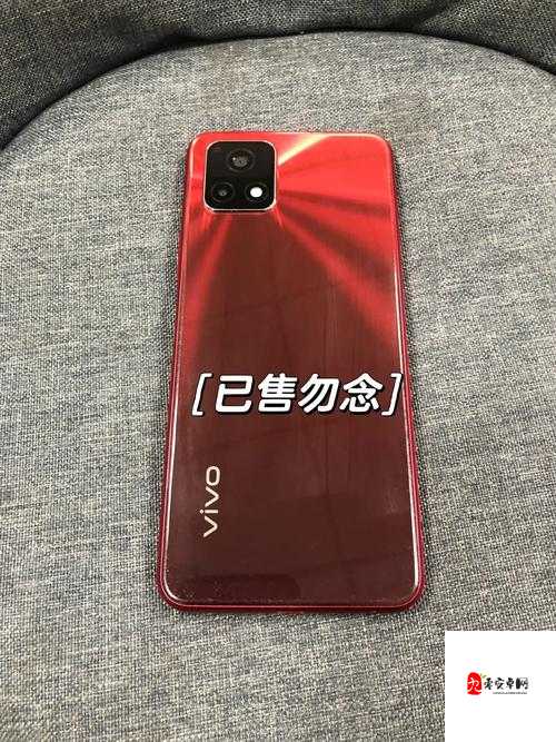 y31 成色好的：一款外观出众性能卓越的优质产品