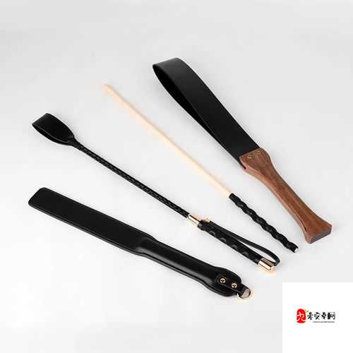 金牌惩戒师 SP 实验教程：深入探索独特的教育实践方法