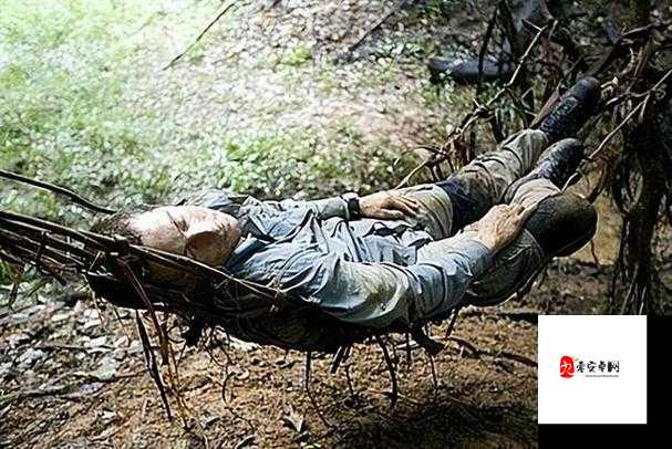 最后的原始人，新手探险家的生存智慧大揭秘