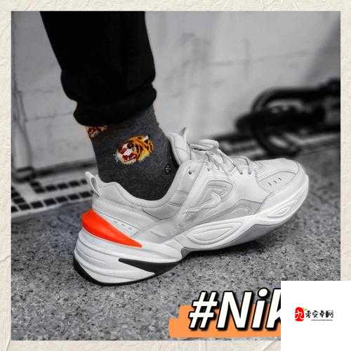 成品站 nike 源码免费：探寻互联网的宝藏