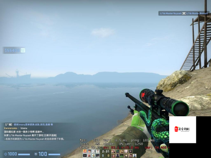 日本 CSGO 大姐姐 AWP 多少钱：其价格背后的秘密与影响