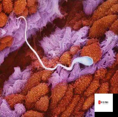 看看镜子里我们怎么结合的到底会有怎样的奇妙反应