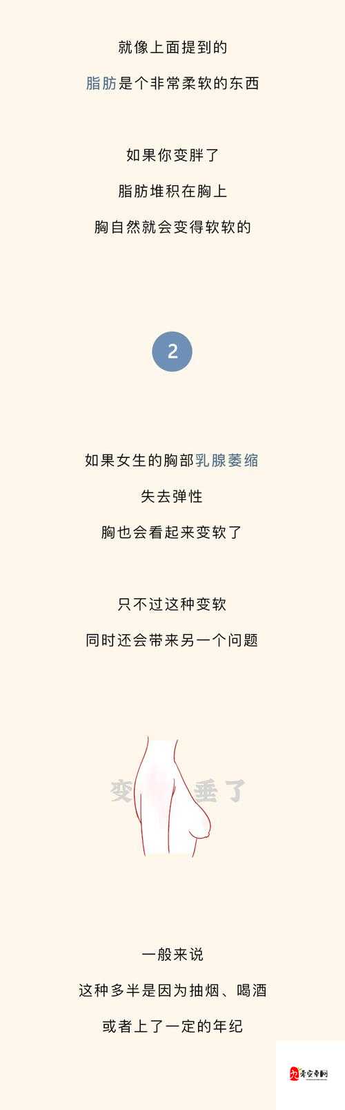 为什么软的时候好小：深度探究其原因