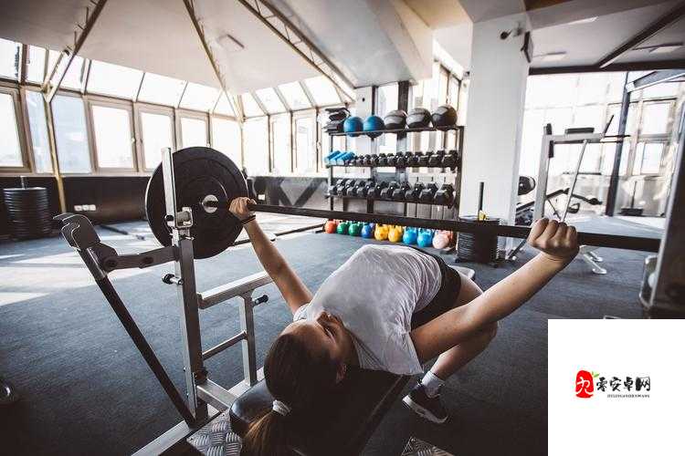 男女上下拱 120 ：独特健身方式引发的身体变化探讨