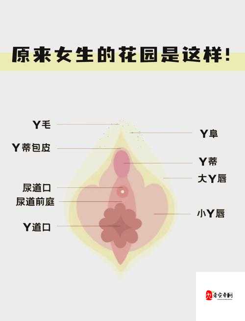 男生咬我私密部位：探索暧昧关系的边界
