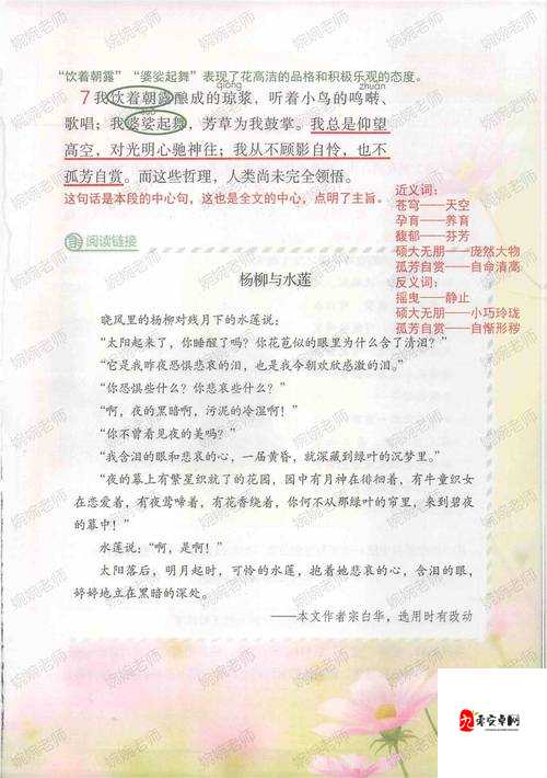 z○○xⅩⅩ之相关内容详细解读与深度剖析