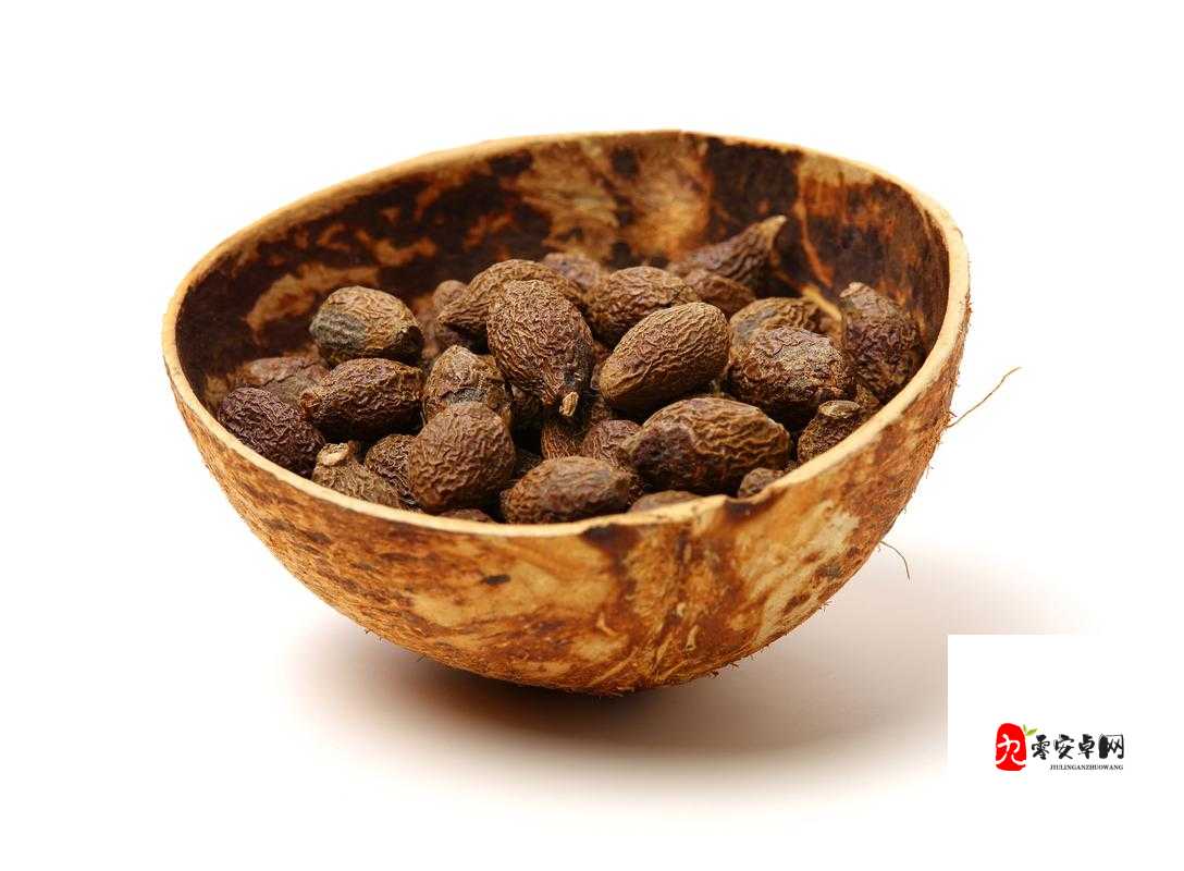 美国人与动物胶配方大全：探索丰富多样的胶配方奥秘