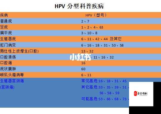 持续感染 HPV16、18、27、8 型，可能增加宫颈癌风险