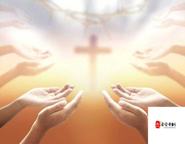 高 ch 海棠多人 MBA 智库：探索未知领域的智慧之旅