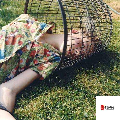 麻豆体内 精 69XXXXXx：探索未知的快感之旅