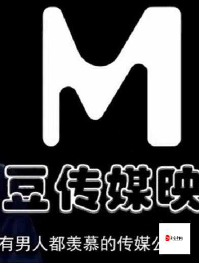 麻花传媒 ceo 带领团队创造辉煌业绩推动行业发展