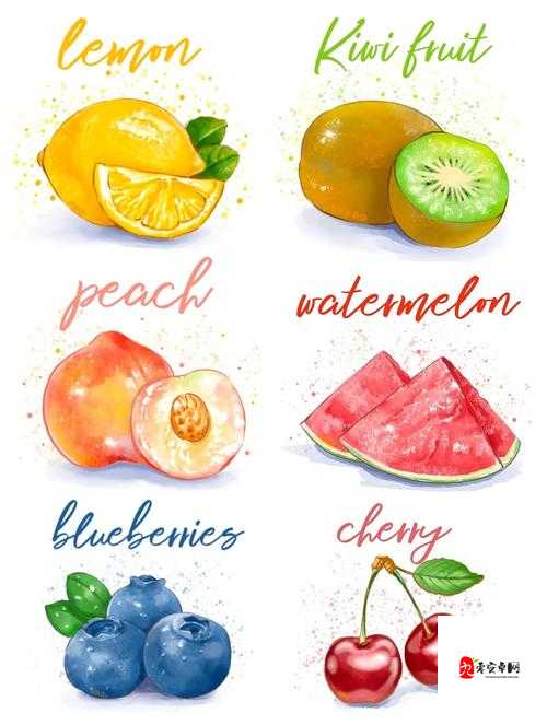 香蕉樱桃水蜜桃猕猴桃菠萝的缤纷美味大赏