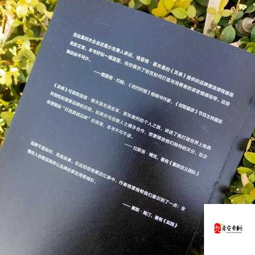 解锁创意源泉，绝对演绎灵感的奇妙获取之旅