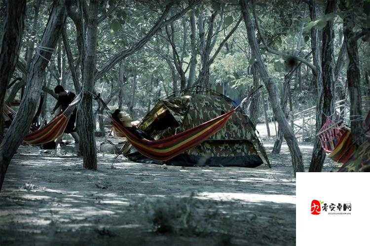 最终庇护所天启之夜，策略与智慧并存的生存挑战