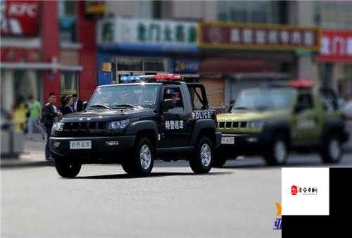 超级肉禽系统保安：守护家禽安全的钢铁卫士