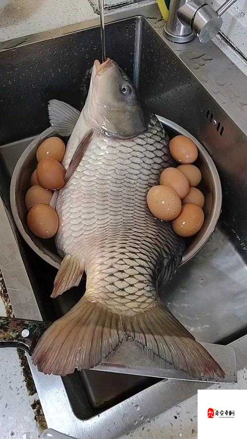 鲤鱼喝水技巧图解：详细解析与实用指南